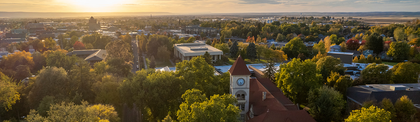 Whitman College Aerial